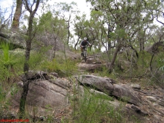 20070114-Coba 189 